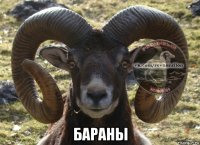  бараны