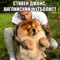 стивен джонс - английский футболист 