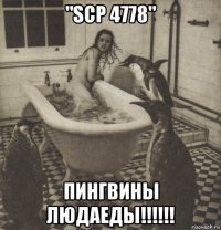 "scp 4778" пингвины людаеды!!!!!!