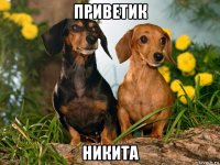 приветик никита