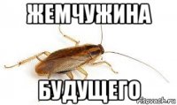 жемчужина будущего