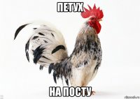 петух на посту