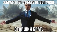 я:брат я тут собаку не выгулял старший брат: