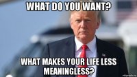 what do you want? what makes your life less meaningless?