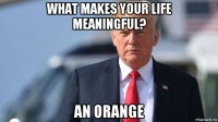 what makes your life meaningful? an orange