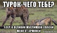 турок-чего тебе? азер-о великий муслимхан спасай меня от армяней