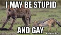 i may be stupid and gay