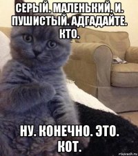 серый. маленький. и. пушистый. адгадайте. кто. ну. конечно. это. кот.