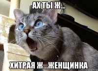 ах ты ж... хитрая ж...женщинка