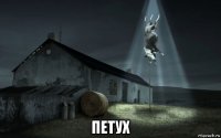  петух