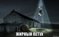  жирный петух