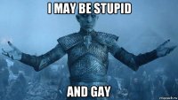i may be stupid and gay