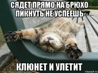 сядет прямо на брюхо пикнуть не успеешь клюнет и улетит