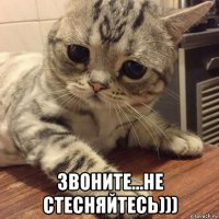  звоните...не стесняйтесь)))