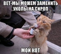 вет-мы можем заменить уколы на сироп мой кот