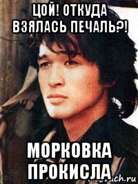 цой! откуда взялась печаль?! морковка прокисла