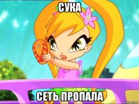 сука сеть пропала