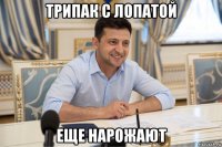 трипак с лопатой еще нарожают