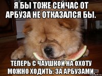 я бы тоже сейчас от арбуза не отказался бы. теперь с чаушкой на охоту можно ходить: за арбузами.