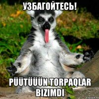 узбагойтесь! püütüüün torpaqlar bizimdi