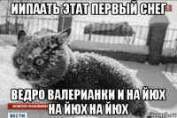 иипаать этат первый снег ведро валерианки и на йюх на йюх на йюх