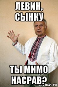 левин, сынку ты мимо насрав?