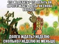 что же делать? что делать он ничего! ждать когда он снова похудеет. долго ждать? неделю, сколько? неделю не меньше.