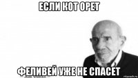 если кот орет феливей уже не спасет