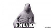  когда dev