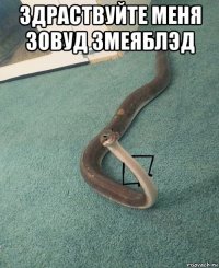здраствуйте меня зовуд змеяблэд 