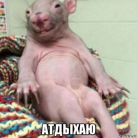  атдыхаю
