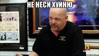 не неси хуйню 