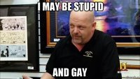 i may be stupid and gay