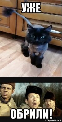 уже обрили!