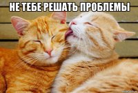 не тебе решать проблемы 