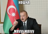 кошка мяууу мяууу
