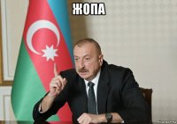 жопа 