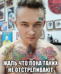  жаль что пока таких не отстреливают