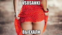 vsosanki выехали
