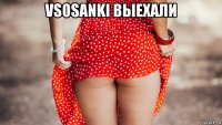 vsosanki выехали 