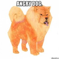 angry dog. 