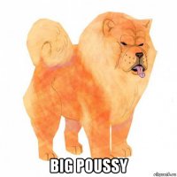  big poussy