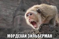  мордехай зильберман