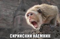  сирийский наемник