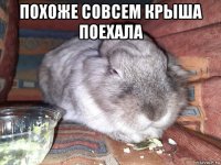 похоже совсем крыша поехала 