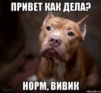 привет как дела? норм, вивик