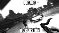 picnic occlusion