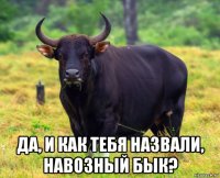  да, и как тебя назвали, навозный бык?