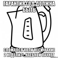 гарантия год должна быть сломался коли неси, какие 2 недели?!..наебкой пахнет
