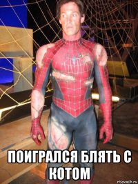  поигрался блять с котом